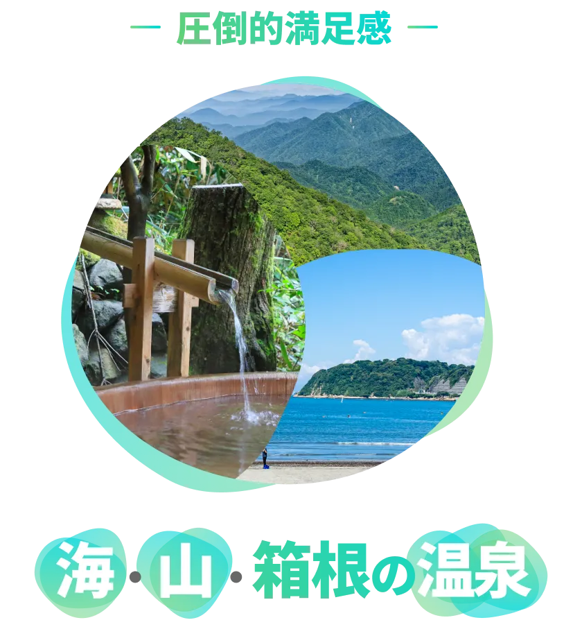 圧倒的満足感